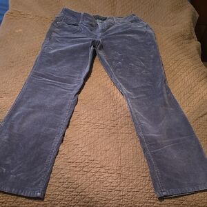 Women's Blue Velour Pants